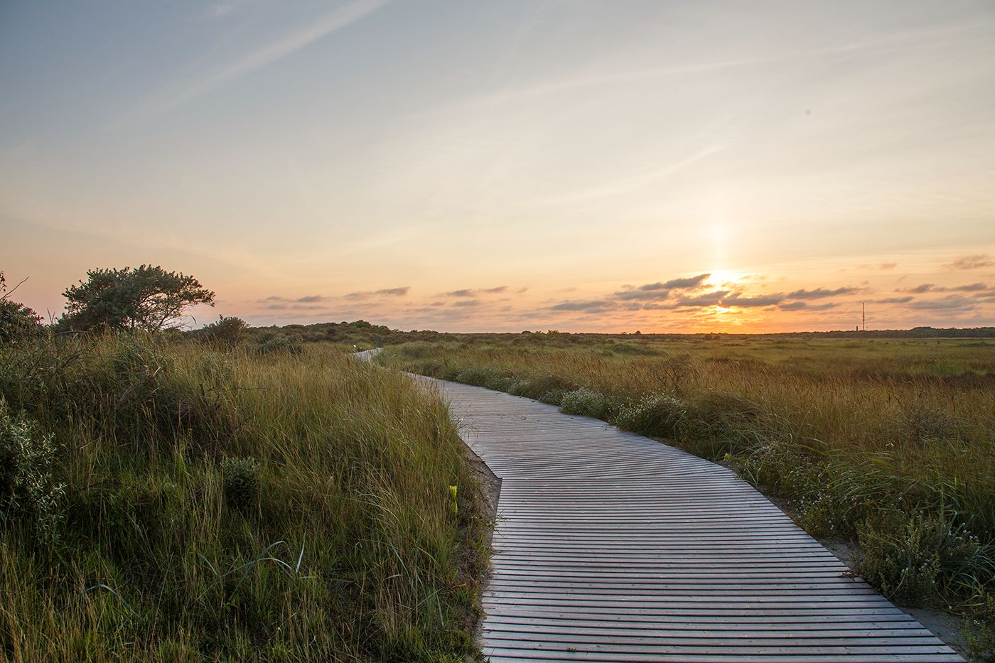 Loopdelenweg durch die Borkumer Marschlandschaft