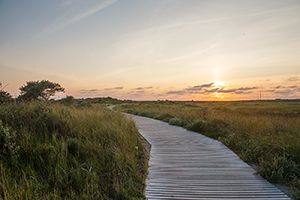 Loopdelenweg durch die Borkumer Marschlandschaft